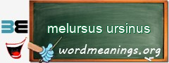 WordMeaning blackboard for melursus ursinus